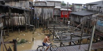 Árvores de mentira em um país de faz de conta