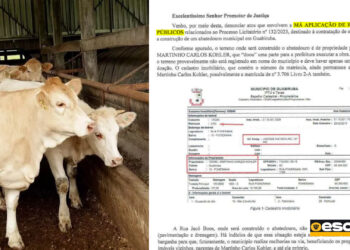 Abatedouro de Guabiruba: Obra Irregular em Terreno Privado Prossegue Apesar de Alertas do MP-SC