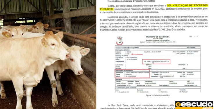 Abatedouro de Guabiruba: Obra Irregular em Terreno Privado Prossegue Apesar de Alertas do MP-SC